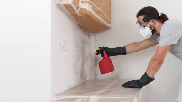 Professional Mold Remediation technician working in Churchville, NY