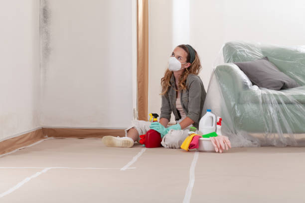 Reliable Mold Remediation contractor in Churchville, NY by WQB Mold Removal